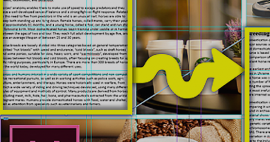 InDesign Threaded Text